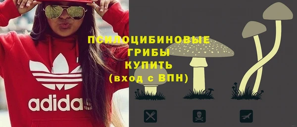 spice Богородск
