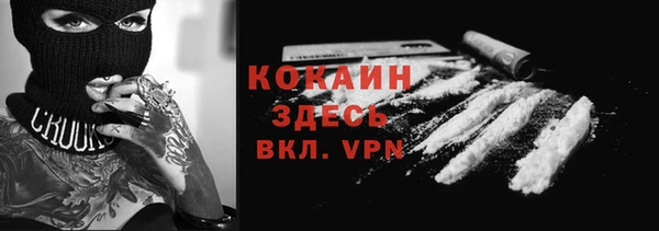 spice Богородск