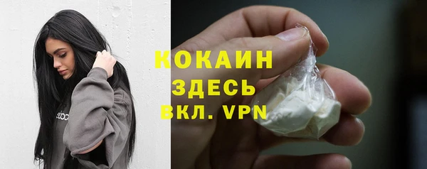 spice Богородск