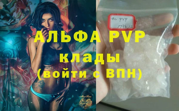 spice Богородск