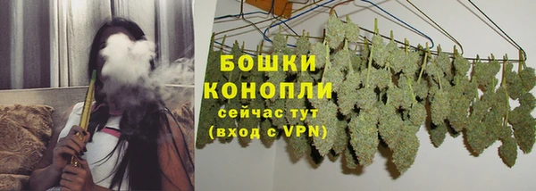 таблы Богородицк
