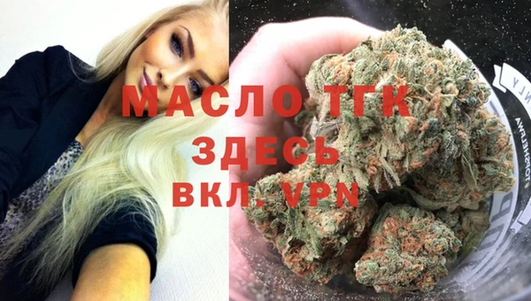 spice Богородск