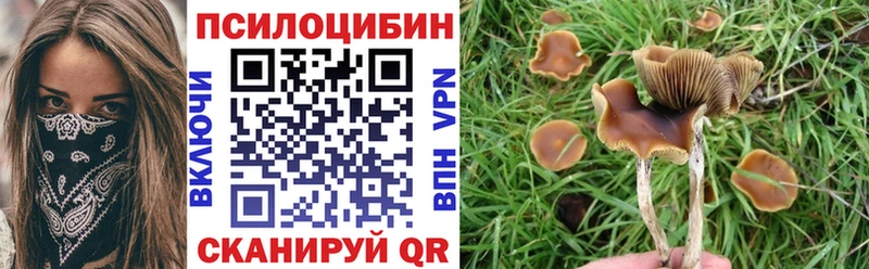 Галлюциногенные грибы Psilocybine cubensis  kraken маркетплейс  Красавино 