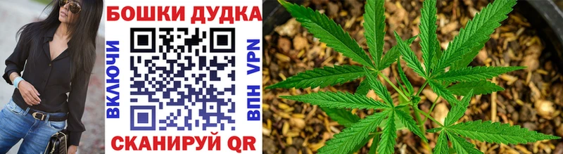 Конопля THC 21%  Красавино 